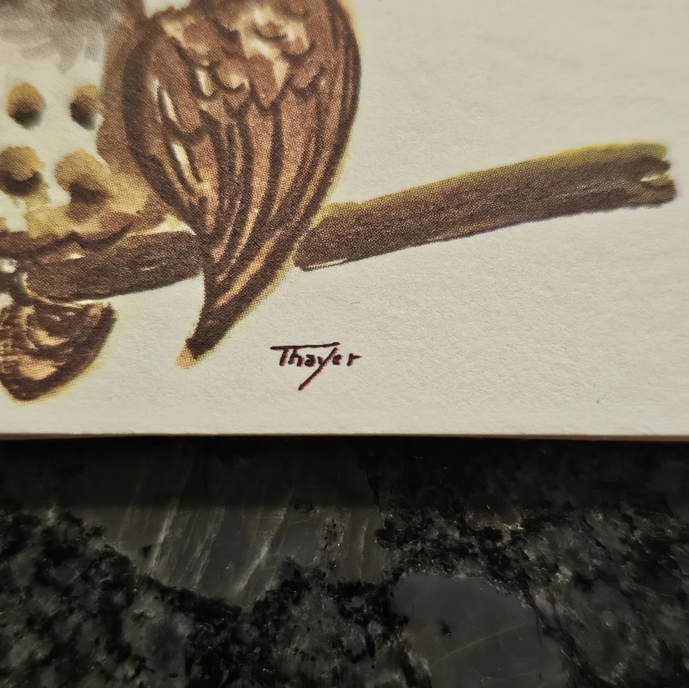 Vtg Thayer Kitschy Owls Big Eyes 16 Post Cards Picture Art 70's MCM Maine USA‎